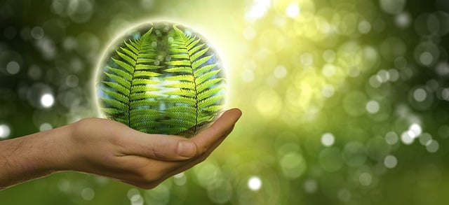 Environmental Impact Assessments