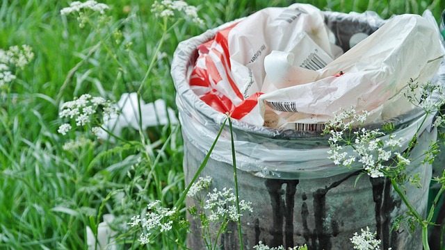Environmental Impact Assessments
