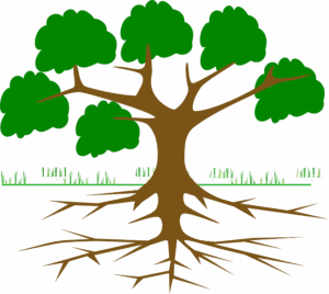 environmental-impact-assessments-640x480-56506209.png