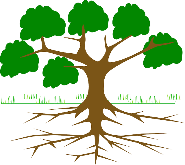 environmental-impact-assessments-640x480-56506209.png