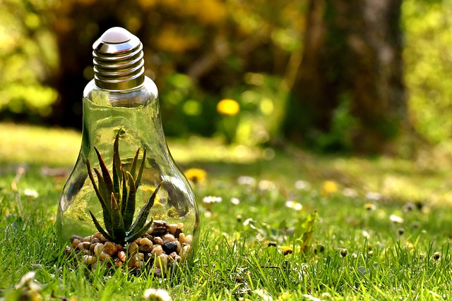 Environmental Impact Assessments