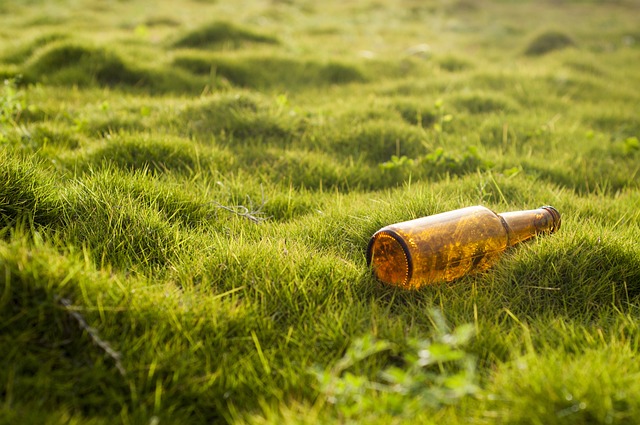 Environmental Impact Assessments