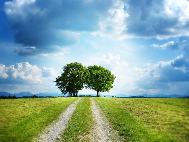 Environmental Impact Assessments