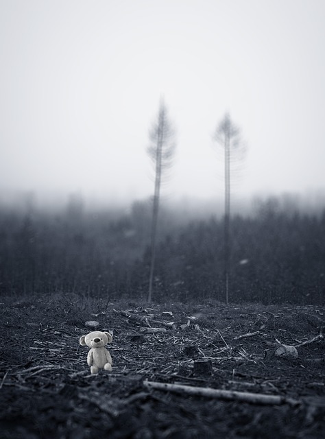 Environmental Impact Assessments