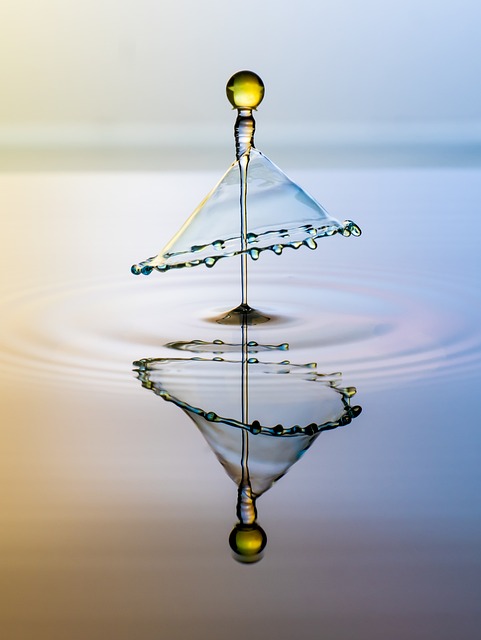 Environmental Impact Assessments