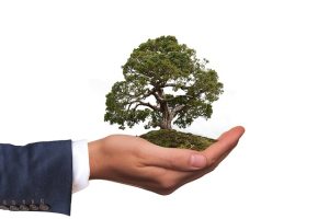 environmental-impact-assessments-640x480-98430085.jpeg