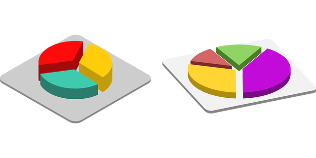 Financial Audit Reports