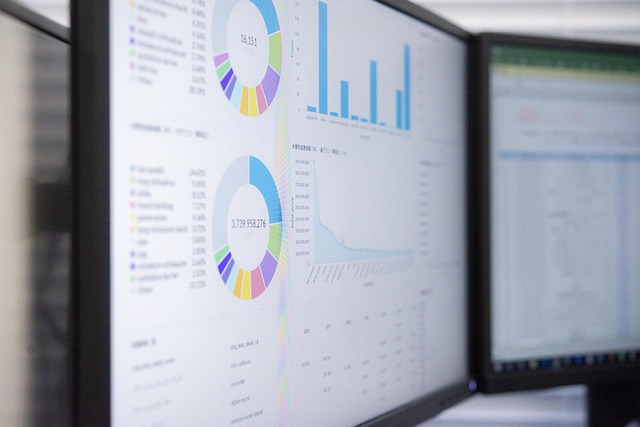 Financial Audit Reports