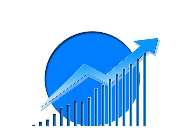 Financial Audit Reports