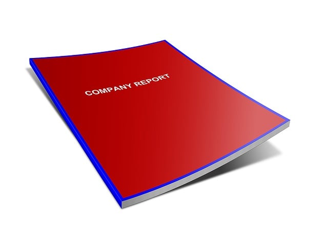 Financial Audit Reports