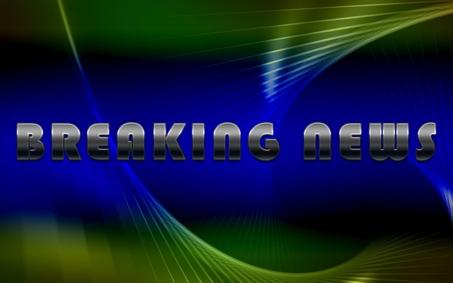 Financial Audit Reports