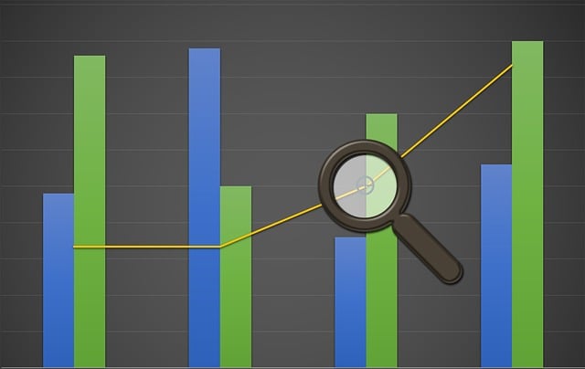 Financial Audit Reports