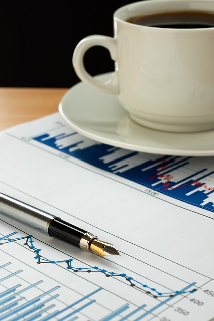 Financial Audit Reports