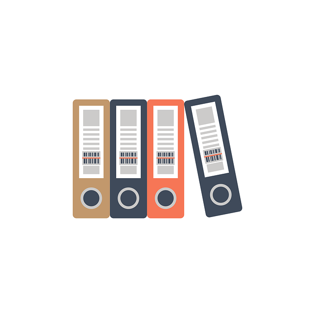 Financial Audit Reports