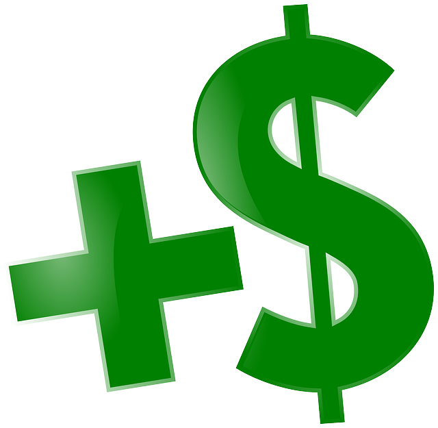 Financial Audit Reports