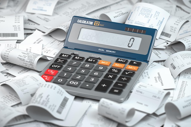 Financial Audit Reports