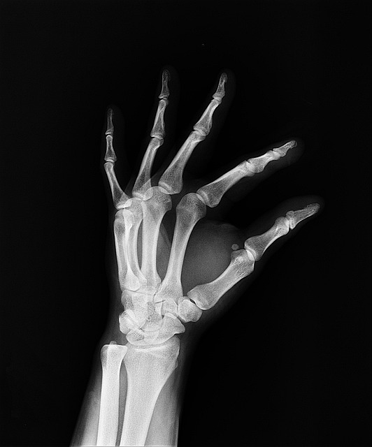 healthcare-insurance-forms-640x480-79354582.jpeg