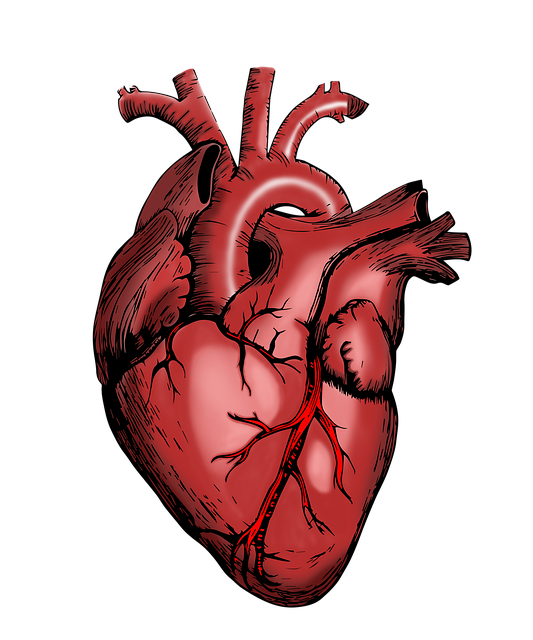 Healthcare Training Materials