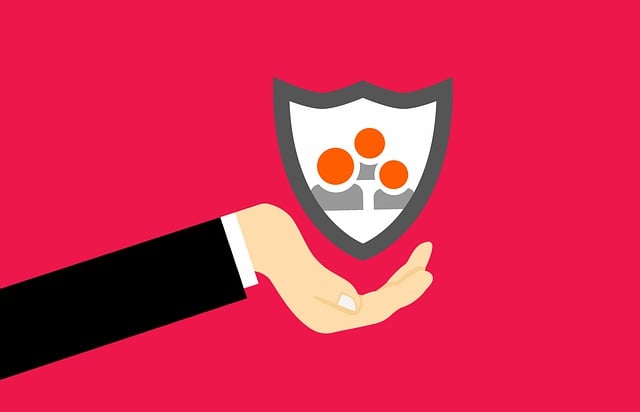 Navigating Insurance Compliance with Professional UK Translation Services