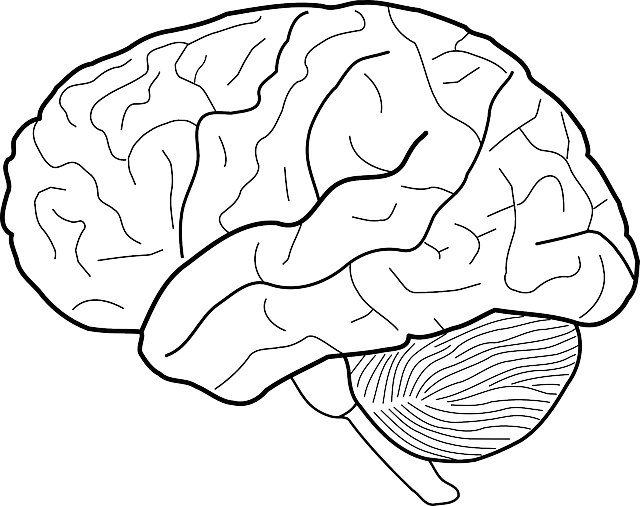 Intellectual Property Documents