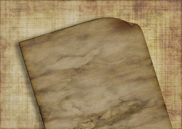 Intellectual Property Documents
