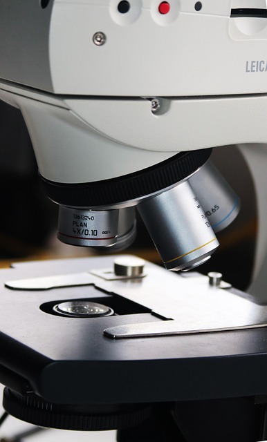 Laboratory Reports