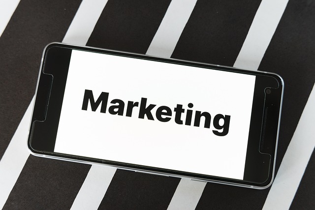 Market Research Reports