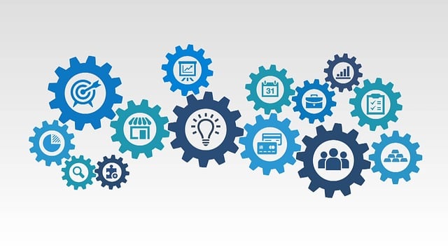 Market Research Reports