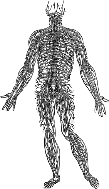 Medical Case Studies