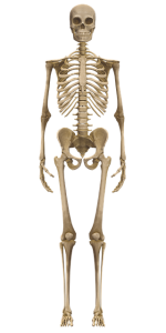 medical-case-studies-640x480-63120096.png