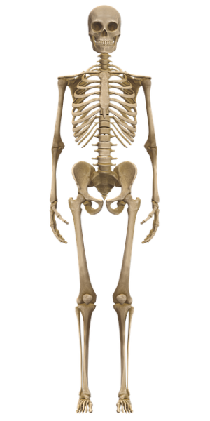 medical-case-studies-640x480-63120096.png