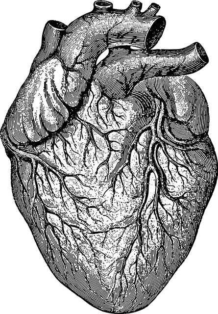 Medical Case Studies