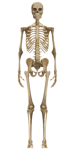 Medical Case Studies
