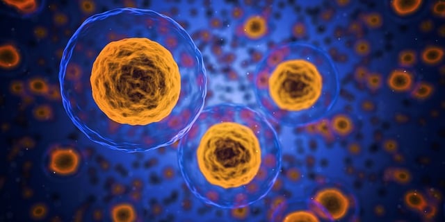 medical-research-papers-640x480-21361430.jpeg