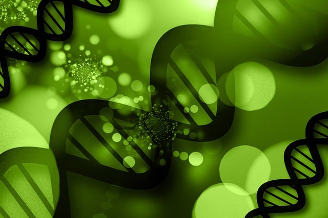 Medical Research Papers
