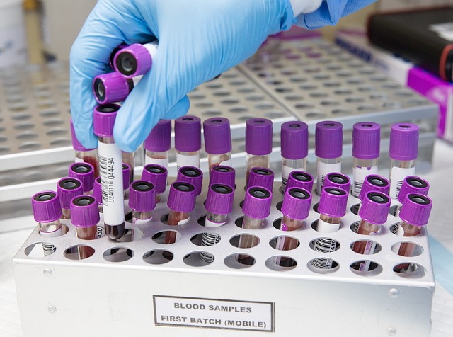 medical-research-papers-640x480-84009970.jpeg