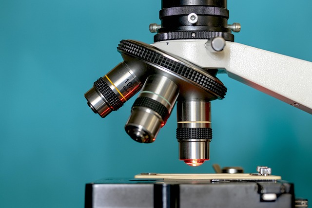 medical-research-papers-640x480-92978801.jpeg