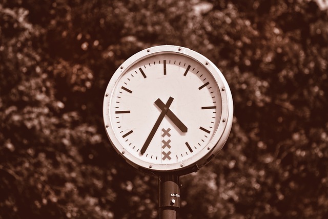 Meeting Minutes and Board Resolutions
