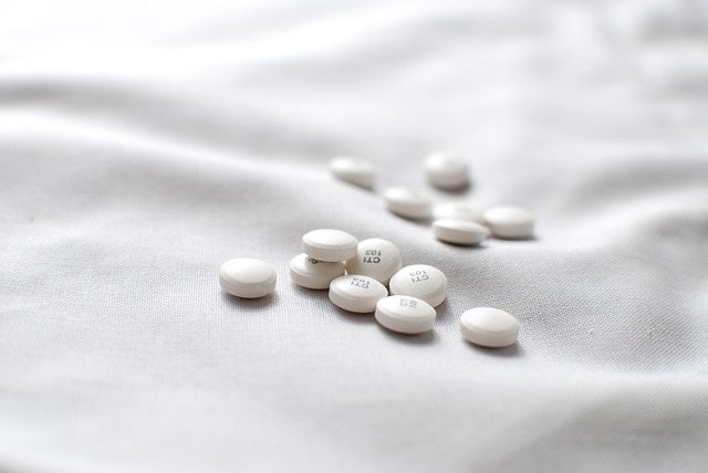 Pharmaceutical Manufacturing Guidelines