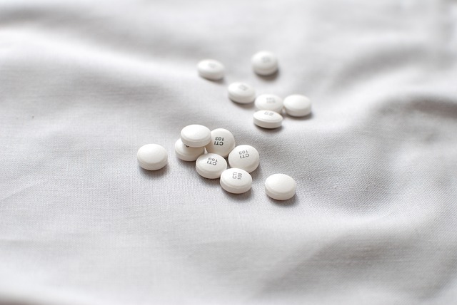 Pharmaceutical Manufacturing Guidelines
