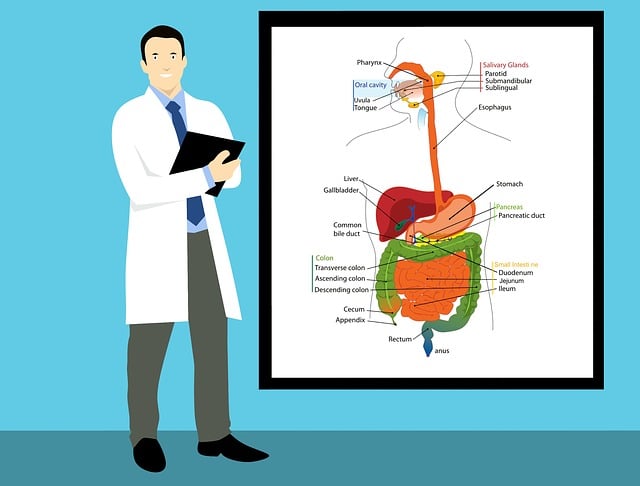 Physician’s Treatment Plans