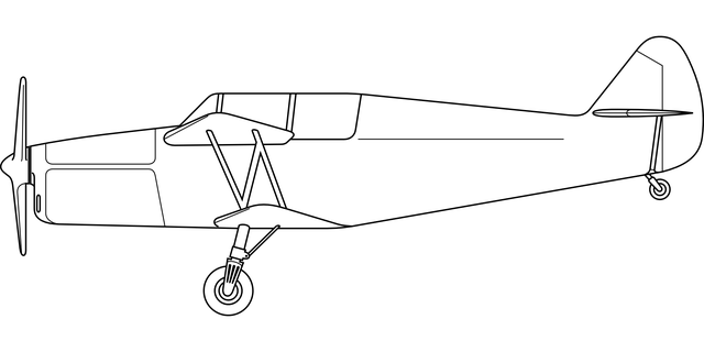 Physician’s Treatment Plans