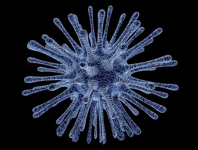 research-proposals-and-grant-application-640x480-169794.jpeg