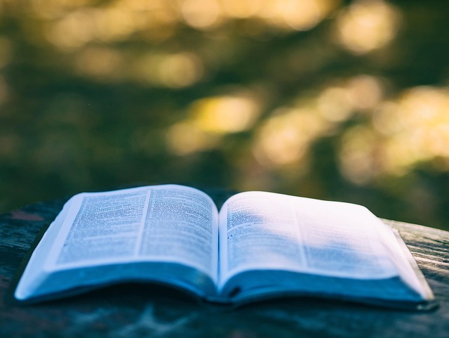 Scientific Books and Textbooks