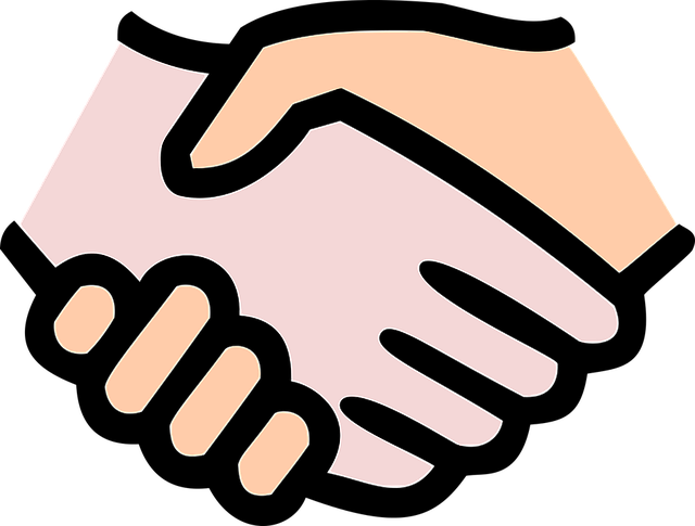 Shareholder Agreements