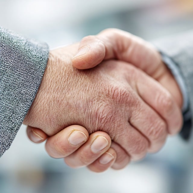 Shareholder Agreements