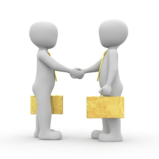 Shareholder Agreements