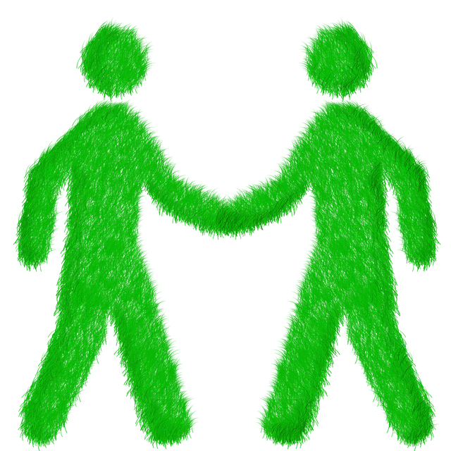 Shareholder Agreements