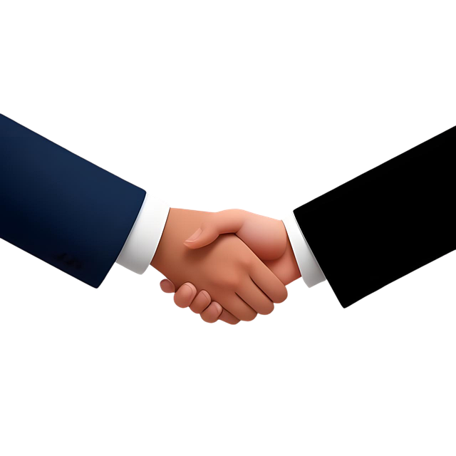 Shareholder Agreements