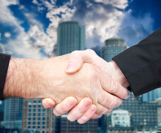 Shareholder Agreements